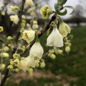 Meet your Posher, Ellen